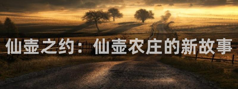 琳琅娱乐工作室怎么样