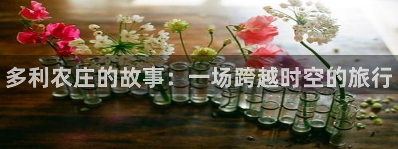 琳琅娱乐平台怎么样