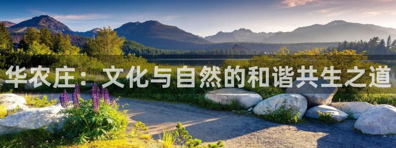 琳琅科技娱乐机器