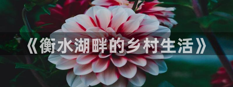 琳琅娱乐 全麦优质