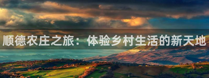 琳琅娱乐工作室怎么样啊