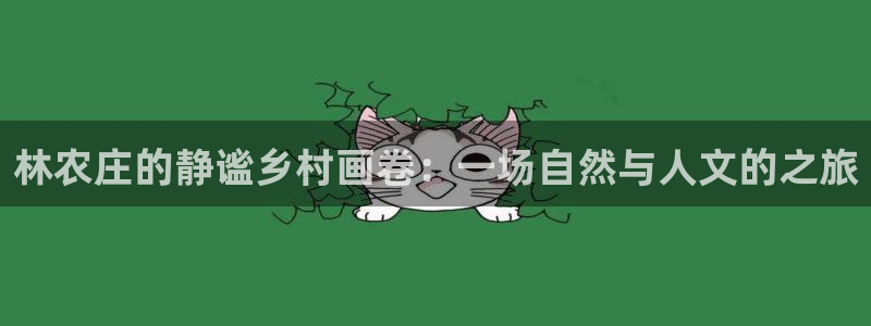 娱乐从琳琅榜开始的小说