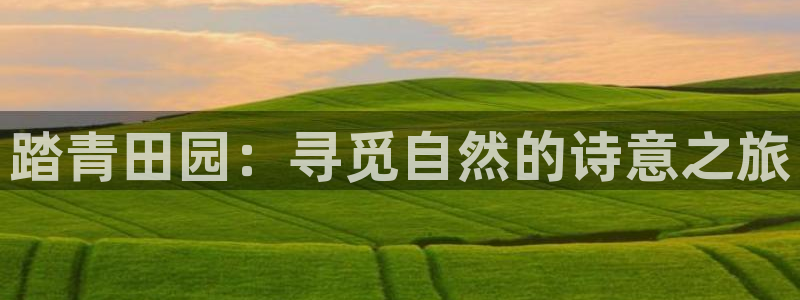 琳琅科技娱乐机器人下载