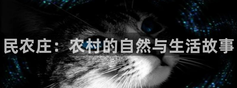 琳琅娱乐工作室怎么样啊