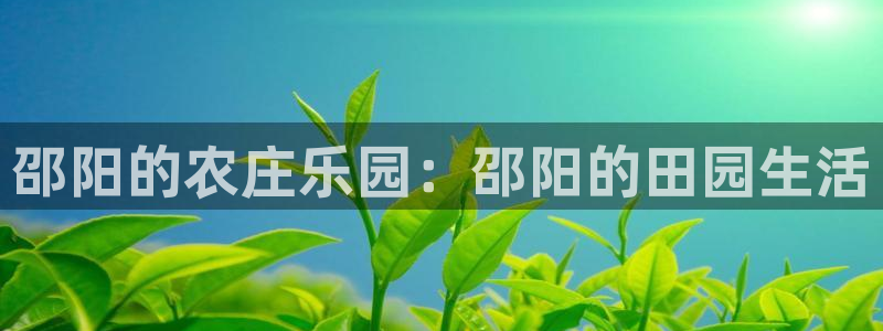 琳琅娱乐工作室地址查询