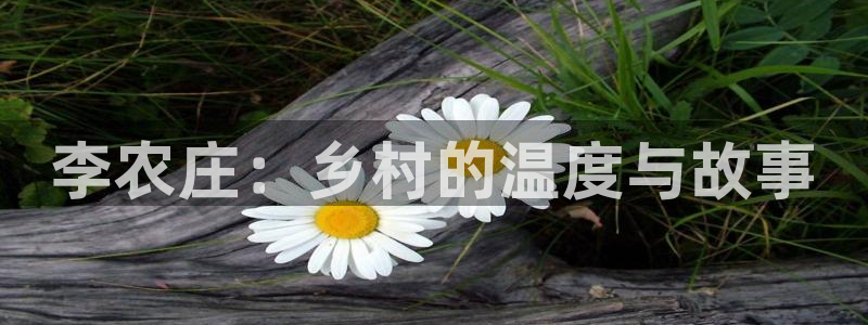 琳琅娱乐组飞车