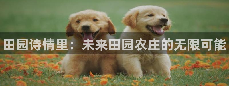 琳琅娱乐APP下载