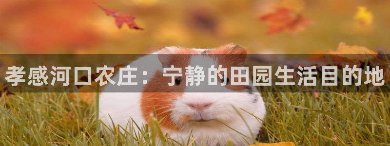 qq琳琅科技娱乐机器人